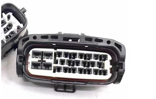 CC240098 - 24 Pin Connector