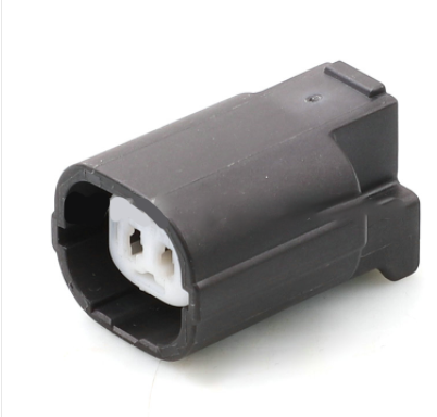 CC21598 - 2 Pin Connector