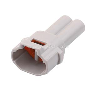 CC21533 - 2 Pin Connector