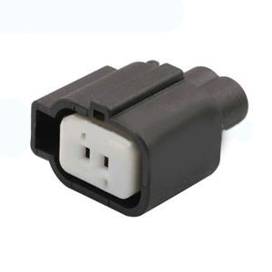CC21651 - 2 Pin Connector